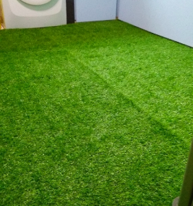 ARTIFICIAL GRASS (2)