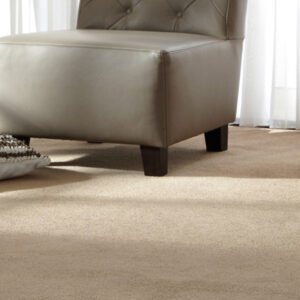 BROADLOOM CUTPILE CARPET ROLLS (5)