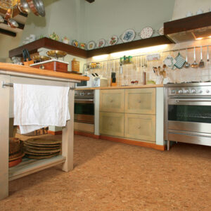 CORK FLOORING (5)