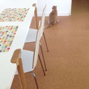CORK FLOORING (9)