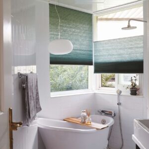 HONEY COMB BLINDS (5)