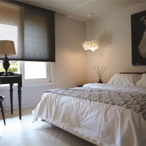HONEY COMB BLINDS (7)