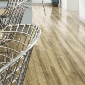 LAMINATE FLOORING (1)