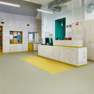 LINOLEUM FLOORING (8)