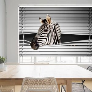 PRINTED ROLLER BLINDS (1)