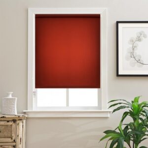ROLLER BLINDS (12)