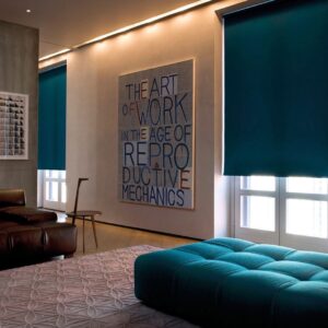 ROLLER BLINDS (2)