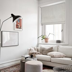 ROMAN BLINDS (2)