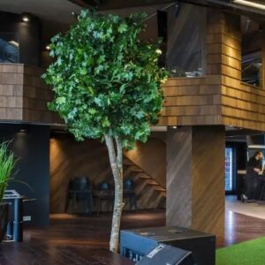THERMORY EXTERIOR CLADDING (6)