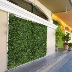 VERTICAL GARDEN (1)