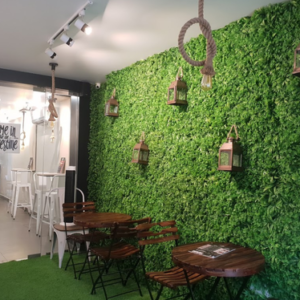 VERTICAL GARDEN (2)