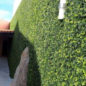 VERTICAL GARDEN (7)